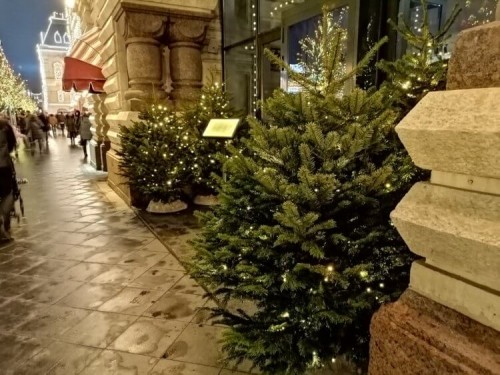 Смартфон Деда Мороза. Можно ли хорошо снимать в темноте? 
Смартфон Деда Мороза. Можно ли хорошо снимать в темноте?