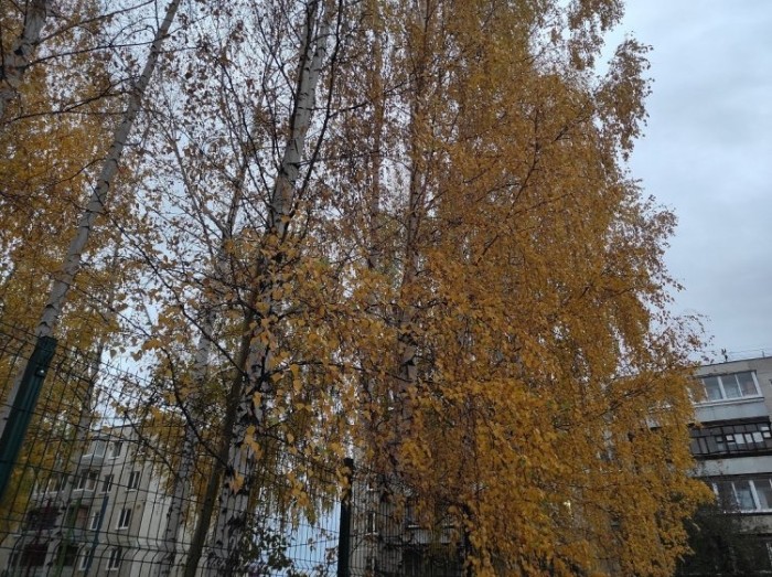 Нужно ли клеить защитное стекло на камеру телефона Нужно ли клеить защитное стекло на камеру телефона