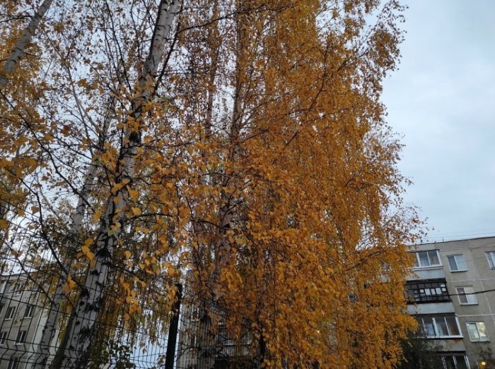 Нужно ли клеить защитное стекло на камеру телефона Нужно ли клеить защитное стекло на камеру телефона